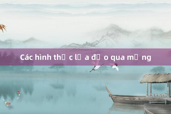 Các hình thức lừa đảo qua mạng