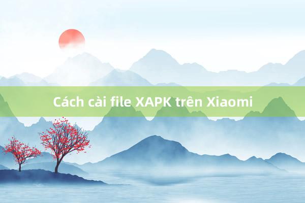 Cách cài file XAPK trên Xiaomi