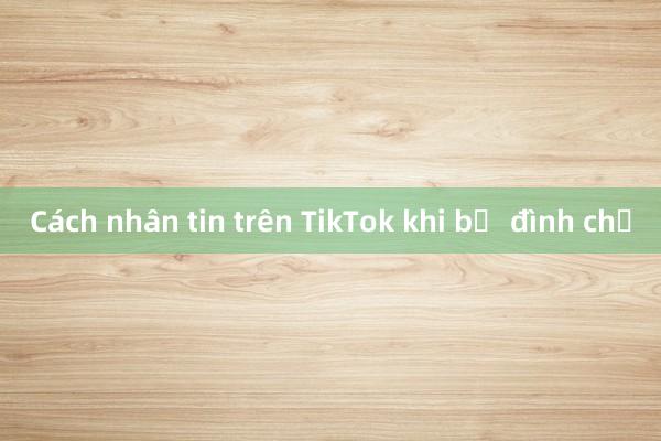 Cách nhân tin trên TikTok khi bị đình chỉ