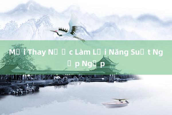 Mới Thay Nước Làm Lợi Năng Suất Ngập Ngập