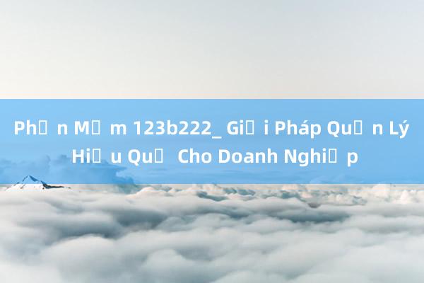 Phần Mềm 123b222_ Giải Pháp Quản Lý Hiệu Quả Cho Doanh Nghiệp