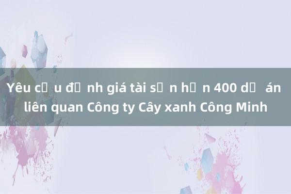 Yêu cầu định giá tài sản hơn 400 dự án liên quan Công ty Cây xanh Công Minh