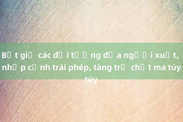 Bắt giữ các đối tượng đưa người xuất, nhập cảnh trái phép, tàng trữ chất ma túy