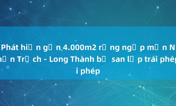 Phát hiện gần 4.000m2 rừng ngập mặn Nhơn Trạch - Long Thành bị san lấp trái phép