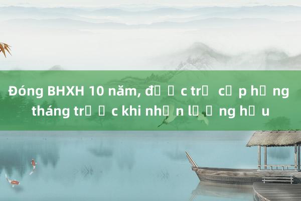 Đóng BHXH 10 năm, được trợ cấp hằng tháng trước khi nhận lương hưu