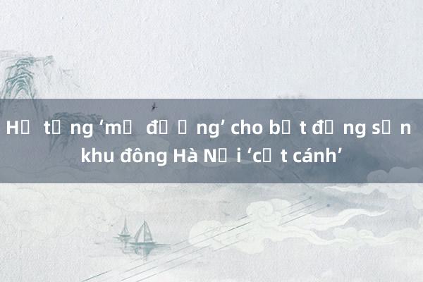 Hạ tầng ‘mở đường’ cho bất động sản khu đông Hà Nội ‘cất cánh’