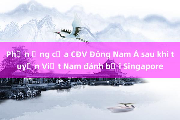 Phản ứng của CĐV Đông Nam Á sau khi tuyển Việt Nam đánh bại Singapore