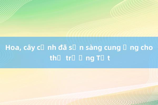 Hoa, cây cảnh đã sẵn sàng cung ứng cho thị trường Tết 